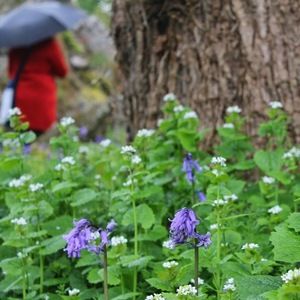 Meet your Posher, Sarita